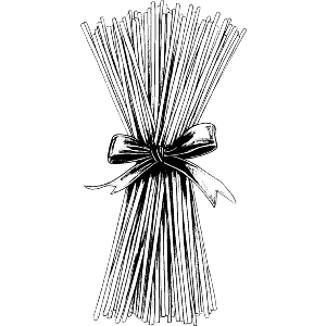 Spaghetti Pasta with Ribbon