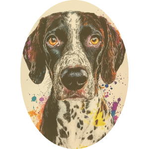 German Shorthaired Pointer Portrait