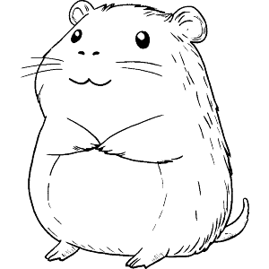 Kawaii Hamster