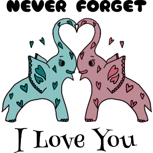 Never Forget I Love You