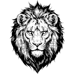 Majestic Lion Head