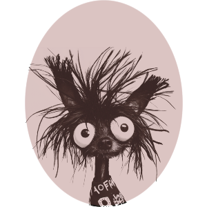 Funny Chinese Crested Dog
