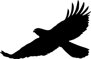 Hawk