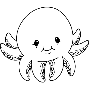 Baby Octopus
