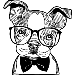 French Bulldog Puppy