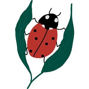 A Ladybird Between The Leaves 