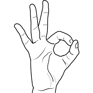 Hand Sign Okay