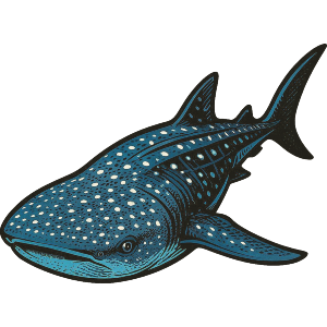 Whale Shark