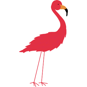 A Pink Flamingo