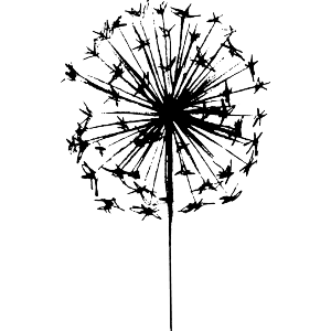 Dandelion Seed