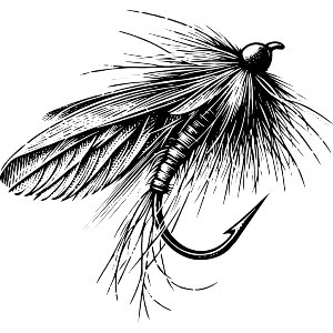 Fishing Fly