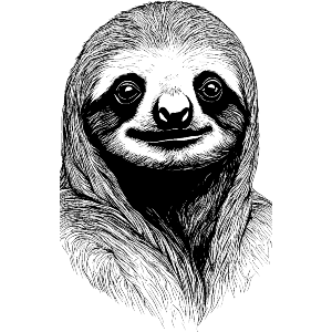 Cute Sloth Face