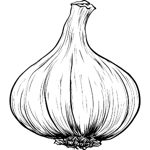 Single Garlic