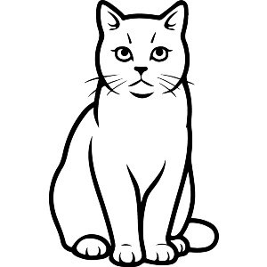 Alert British Shorthair Cat