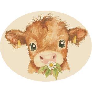 Baby Highland Cow Eating Flower