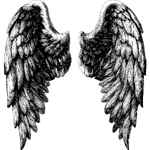 Vintage Angel Wings