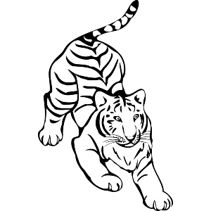 Tiger Line Art