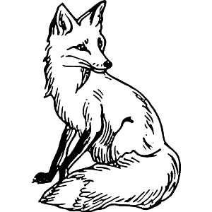 Fox Sitting