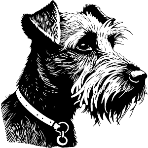 Terrier