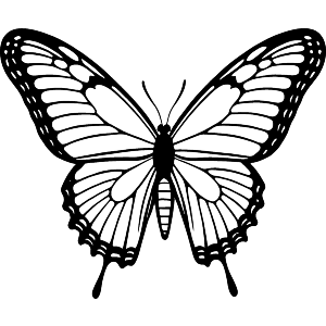 Butterfly Wing