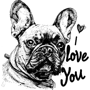 I Love You with French Bulldog