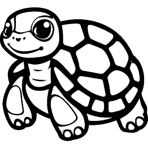 Cute Tortoise