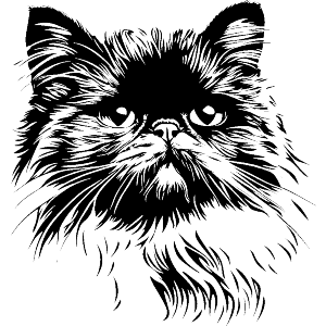 Persian Cat Portrait