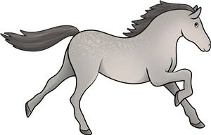 Grey Horse