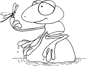 Frog With A Fly