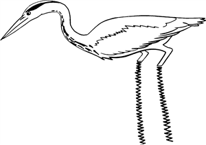 Fishing Heron Bird