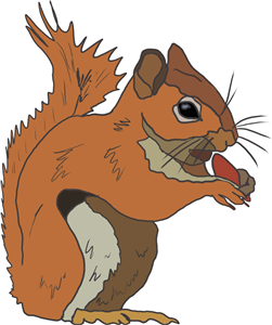 Nutty Squirrel 