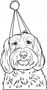 Party Dog