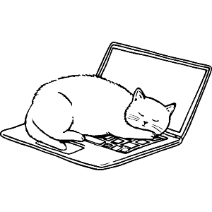 Cat Sleeping On Laptop