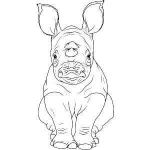Baby Rhino Sitting