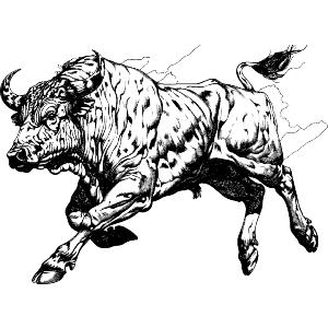 Taurus Bull Jumping