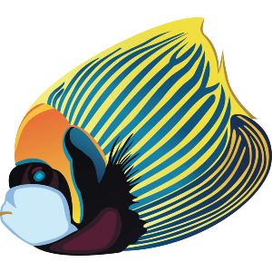 Colorful Emperor Angel Fish