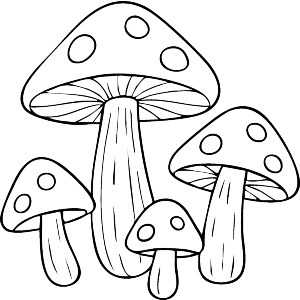 Mushrooms