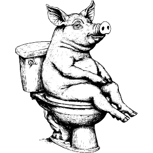 Pig onToilet