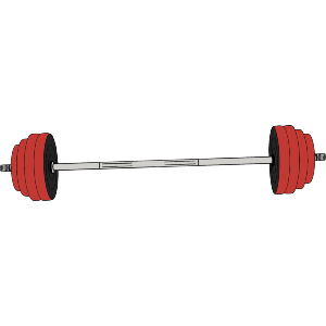 Barbell Fitness Gym