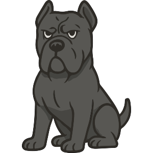 Cane Corso Dog