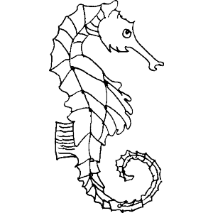 Seahorse