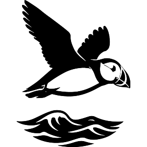 Puffin Bird Flying Over Sea Waves