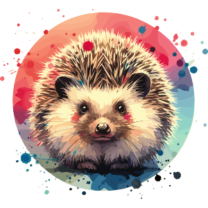 Colourful Hedgehog