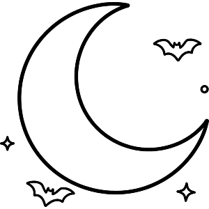 Moon & Bats