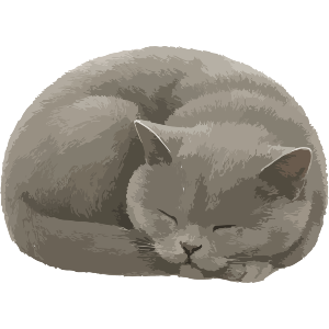 Curled Up Sleeping British Shorthair Cat