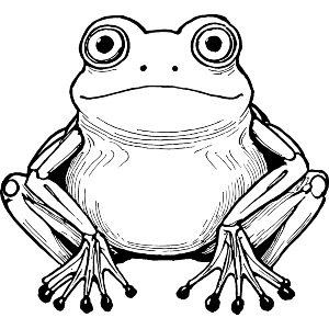Sitting Frog