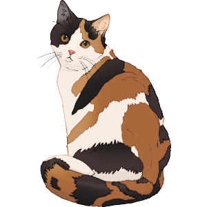 Curious Calico Cat