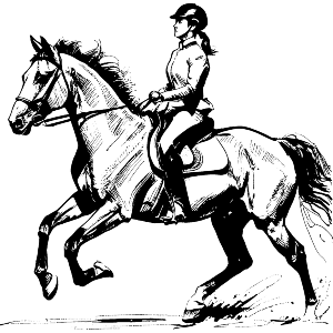 Horseback Riding Woman