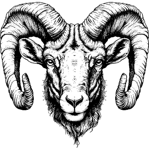 Ram Head 