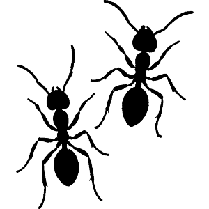 Two Ants Silhouette